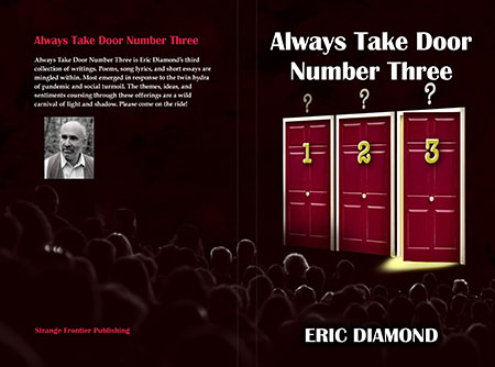 cover image of 'Always Take Door Number Three' by Eric Diamond